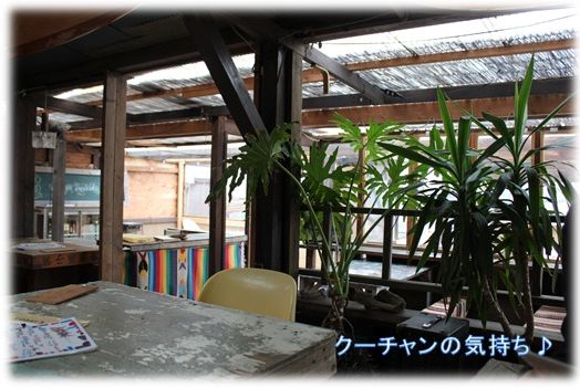 a0161111_20132420.jpg