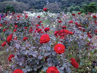 e0058913_22221744.jpg