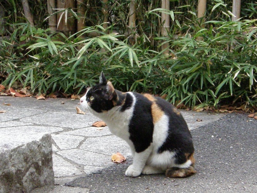 c0158916_2242834.jpg