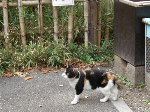 c0158916_22476.jpg