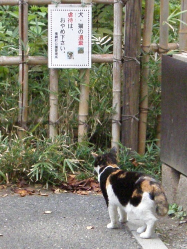 c0158916_225785.jpg