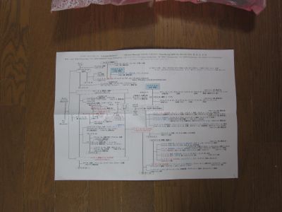 b0008217_2301049.jpg