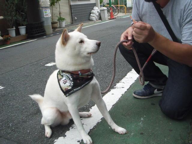 b0203018_177153.jpg