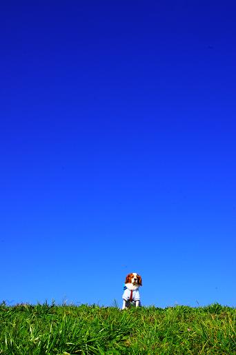 e0237620_10213133.jpg