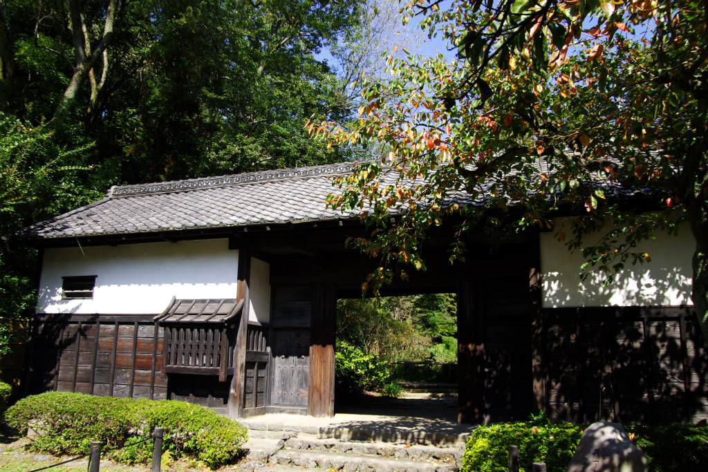 d0250028_6124854.jpg