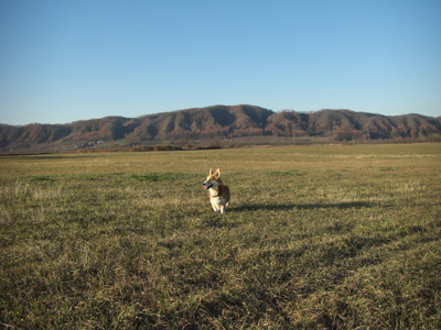 e0077528_140311.jpg