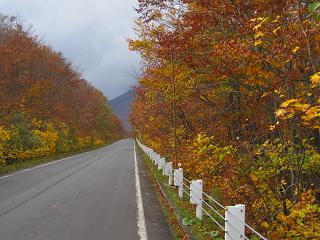 c0051529_22382858.jpg
