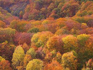 c0051529_2241067.jpg