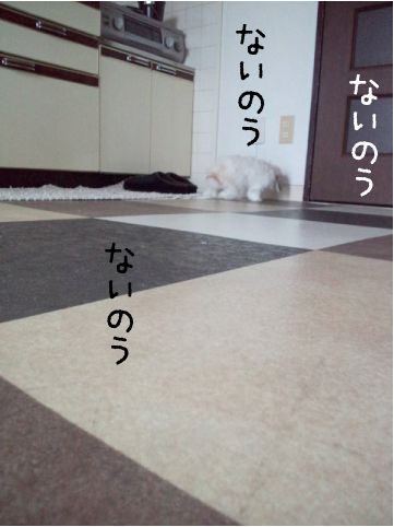e0242030_1311491.jpg