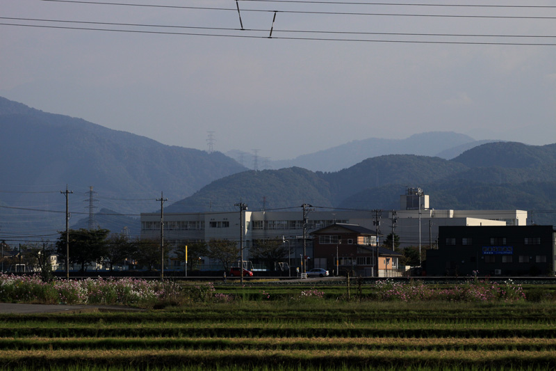 b0177233_4441778.jpg