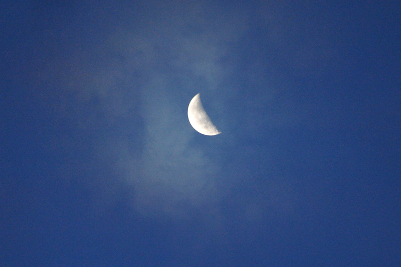 b0177233_8501010.jpg