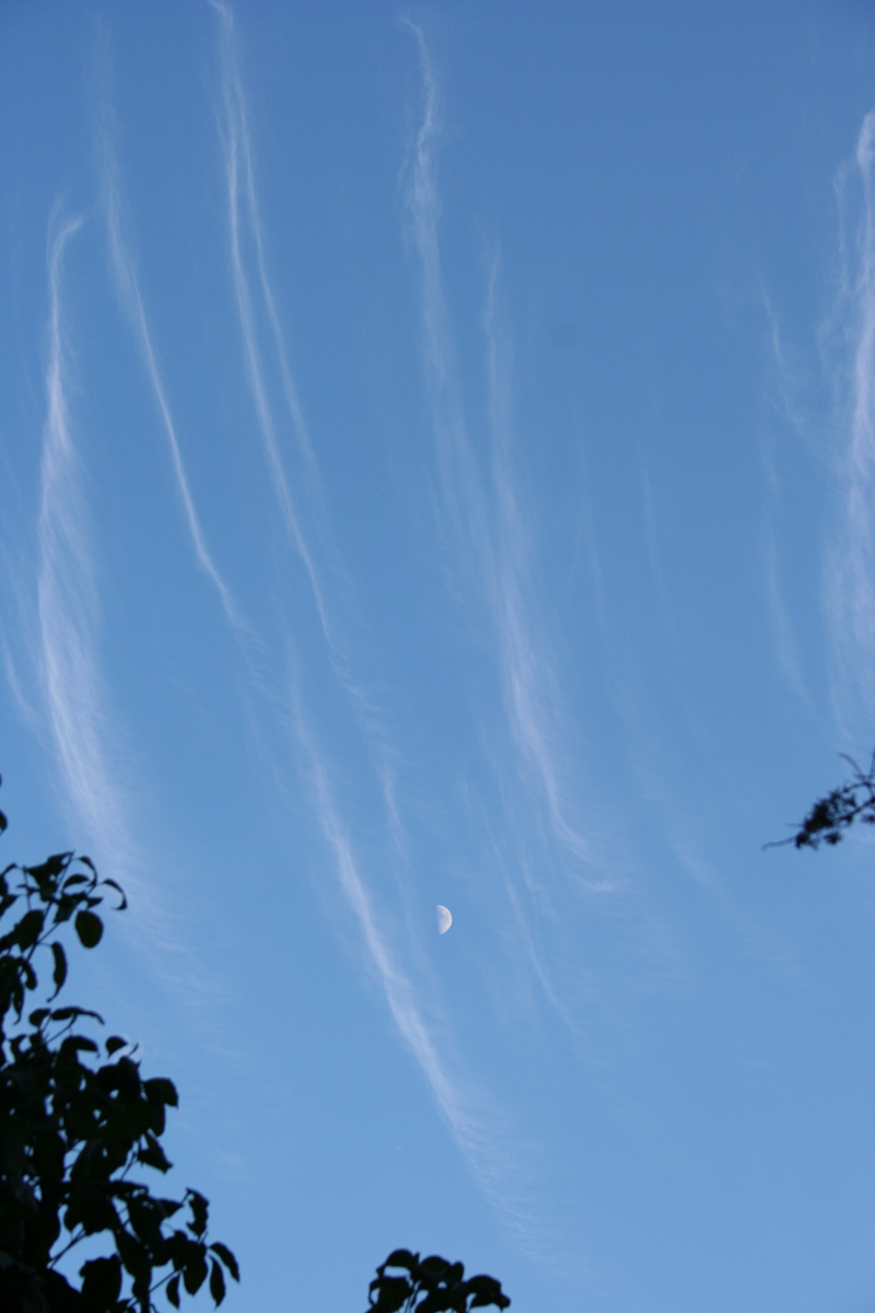 c0073633_17252611.jpg