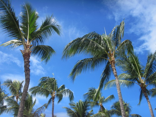 a0162635_2018423.jpg