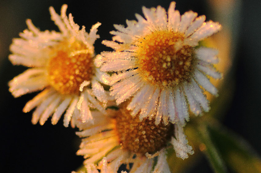 d0069235_249335.jpg