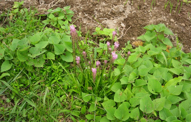 f0042737_10345383.jpg