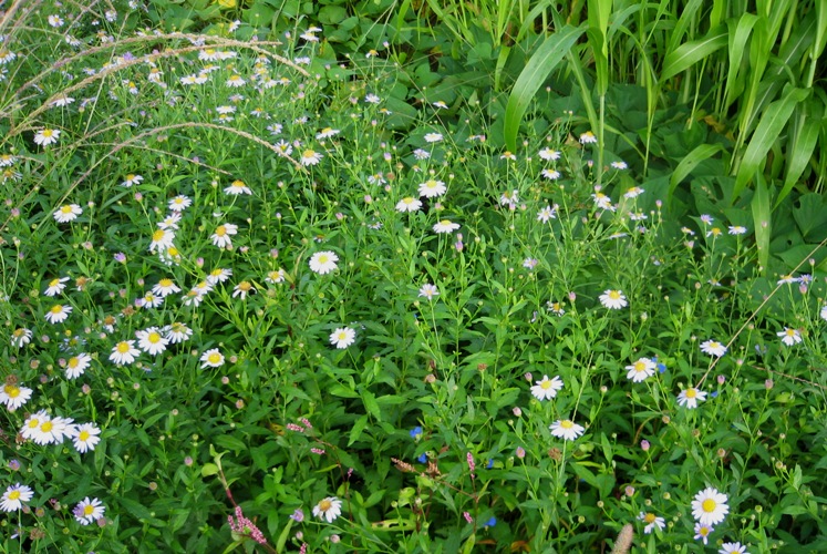 f0042737_10372095.jpg