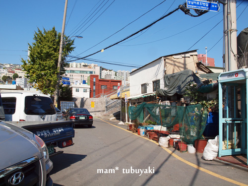 e0081339_214537.jpg