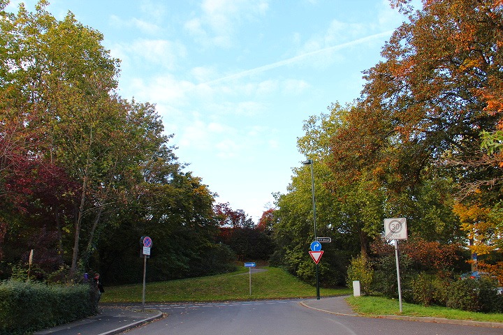 c0153740_3114460.jpg