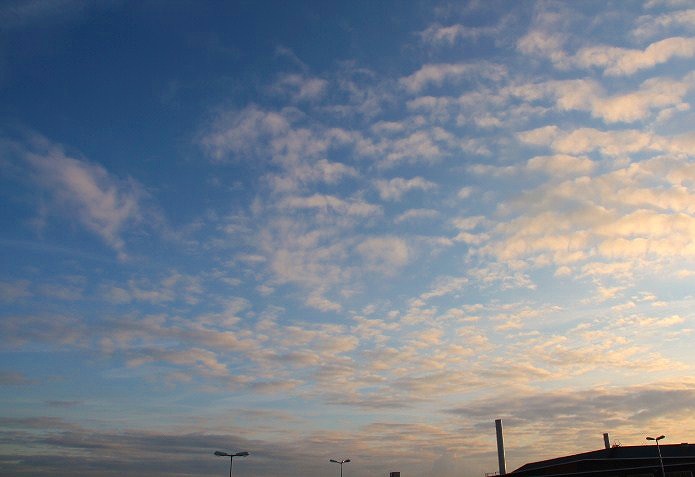 c0153740_317371.jpg