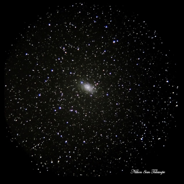 b0167343_0495824.jpg