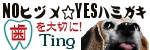a0042044_1853910.jpg