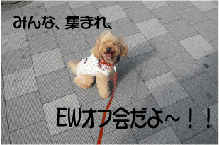 b0182846_21212261.gif