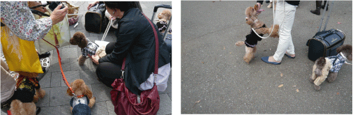 b0182846_21222095.gif