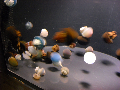 e0098054_14304156.jpg