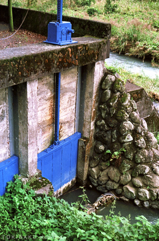 d0100156_0384058.jpg