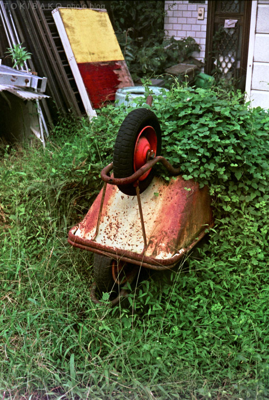 d0100156_045068.jpg