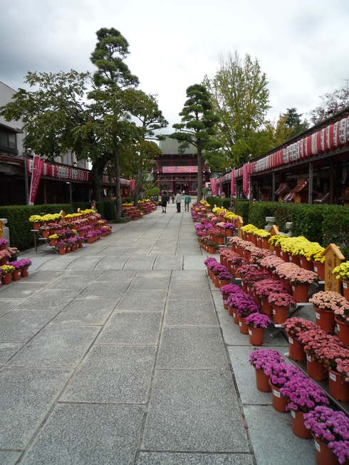 b0167759_1432511.jpg