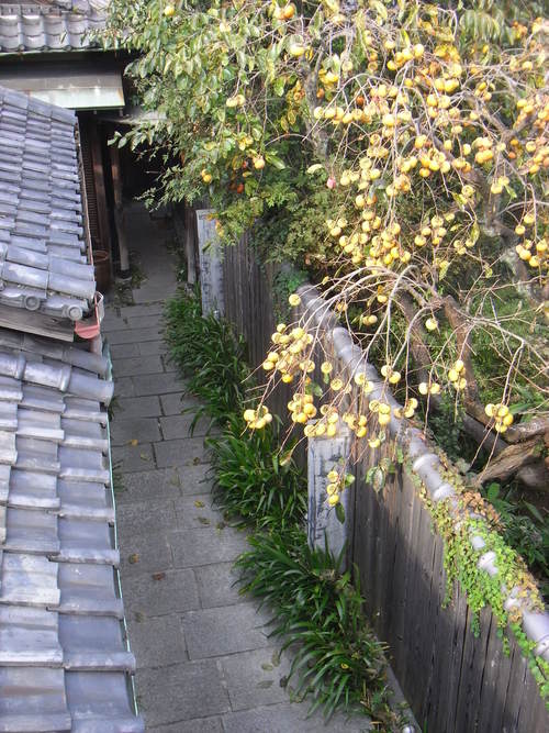 a0187861_0124145.jpg