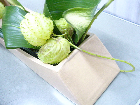 e0086864_0364275.jpg