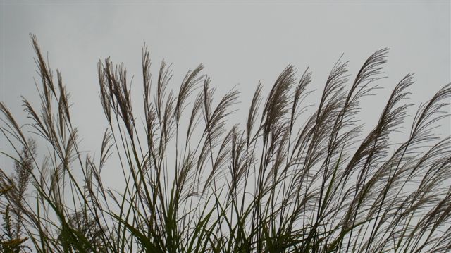 a0123465_23571653.jpg