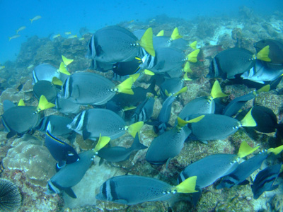 e0184067_15263456.jpg