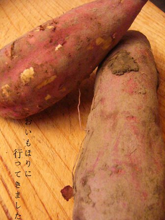f0142668_163752.jpg