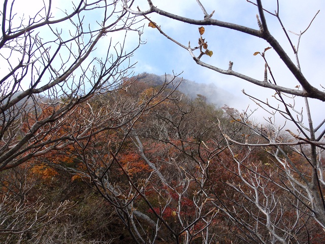 c0042869_814727.jpg