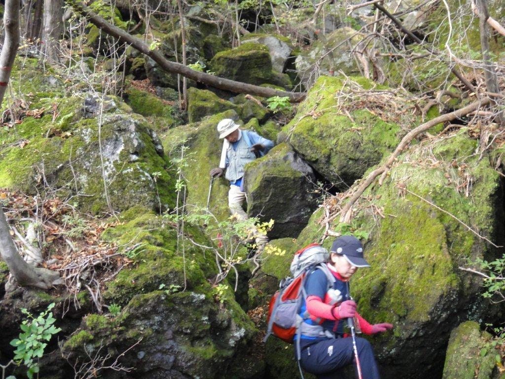 c0042869_8251497.jpg
