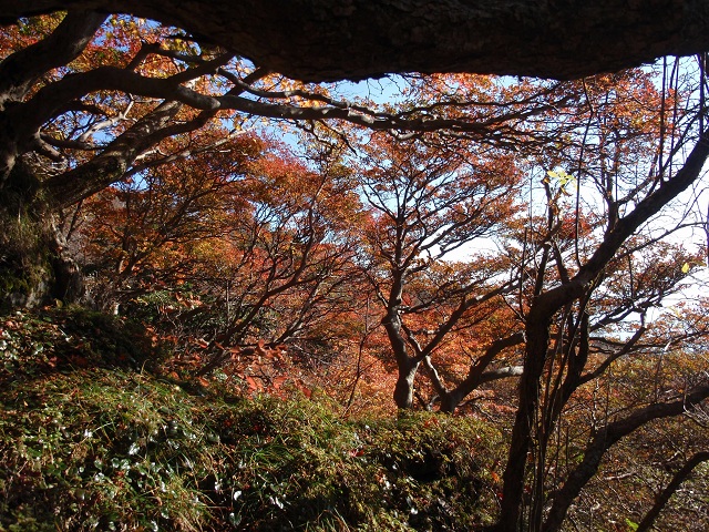 c0042869_8281570.jpg