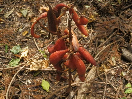 c0042869_8412850.jpg