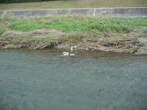 b0194872_2310269.jpg
