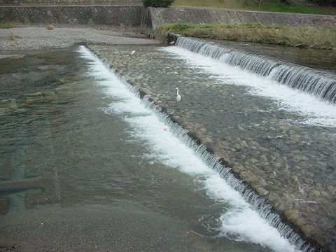 b0194872_236342.jpg