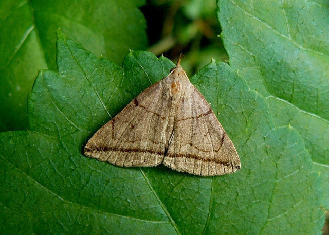 d0019074_9311286.jpg
