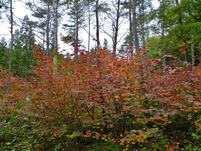 d0245378_17194438.jpg