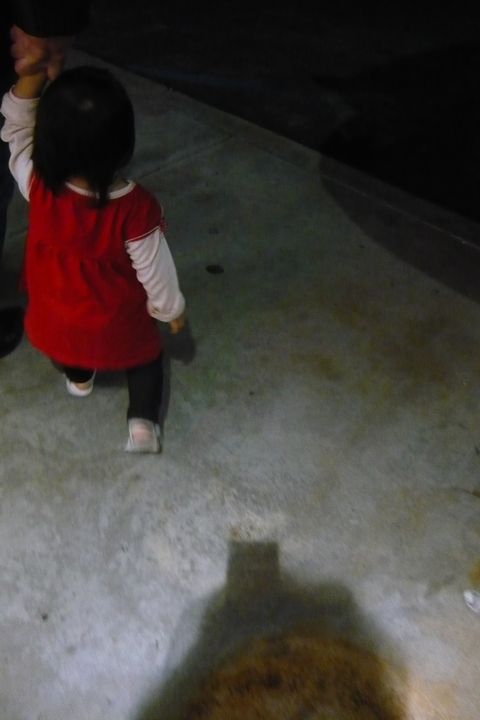 b0202185_4555728.jpg