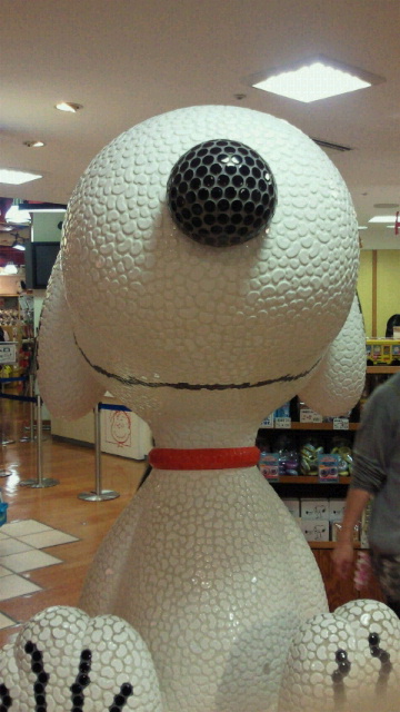 e0086286_0154557.jpg