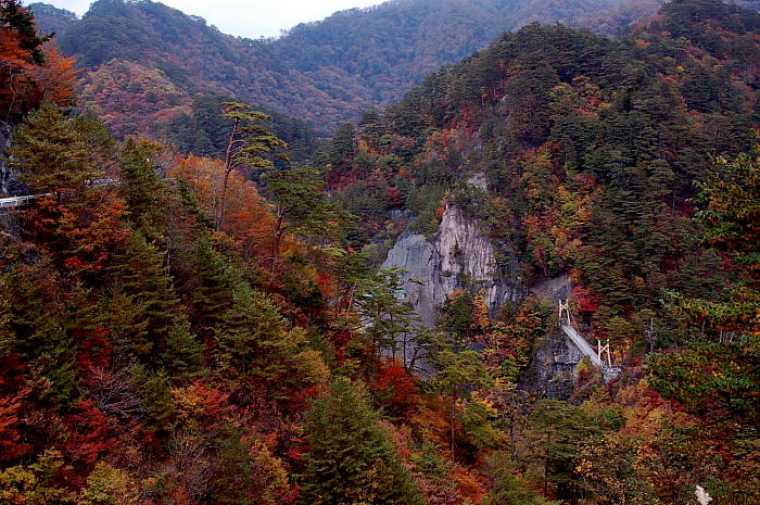 b0203588_2010489.jpg