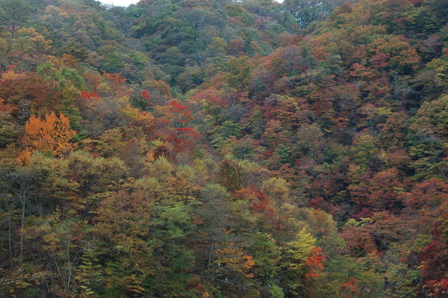 b0203588_2061846.jpg