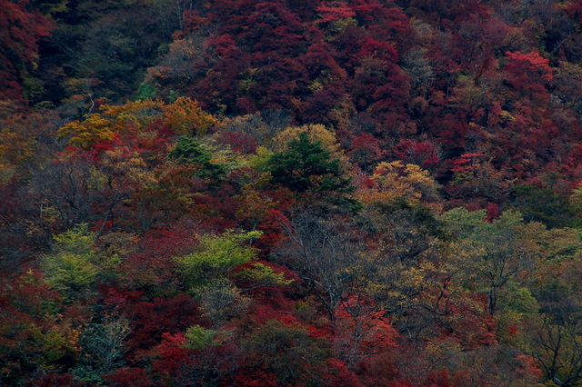 b0203588_2064543.jpg