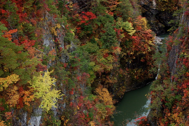 b0203588_2074760.jpg